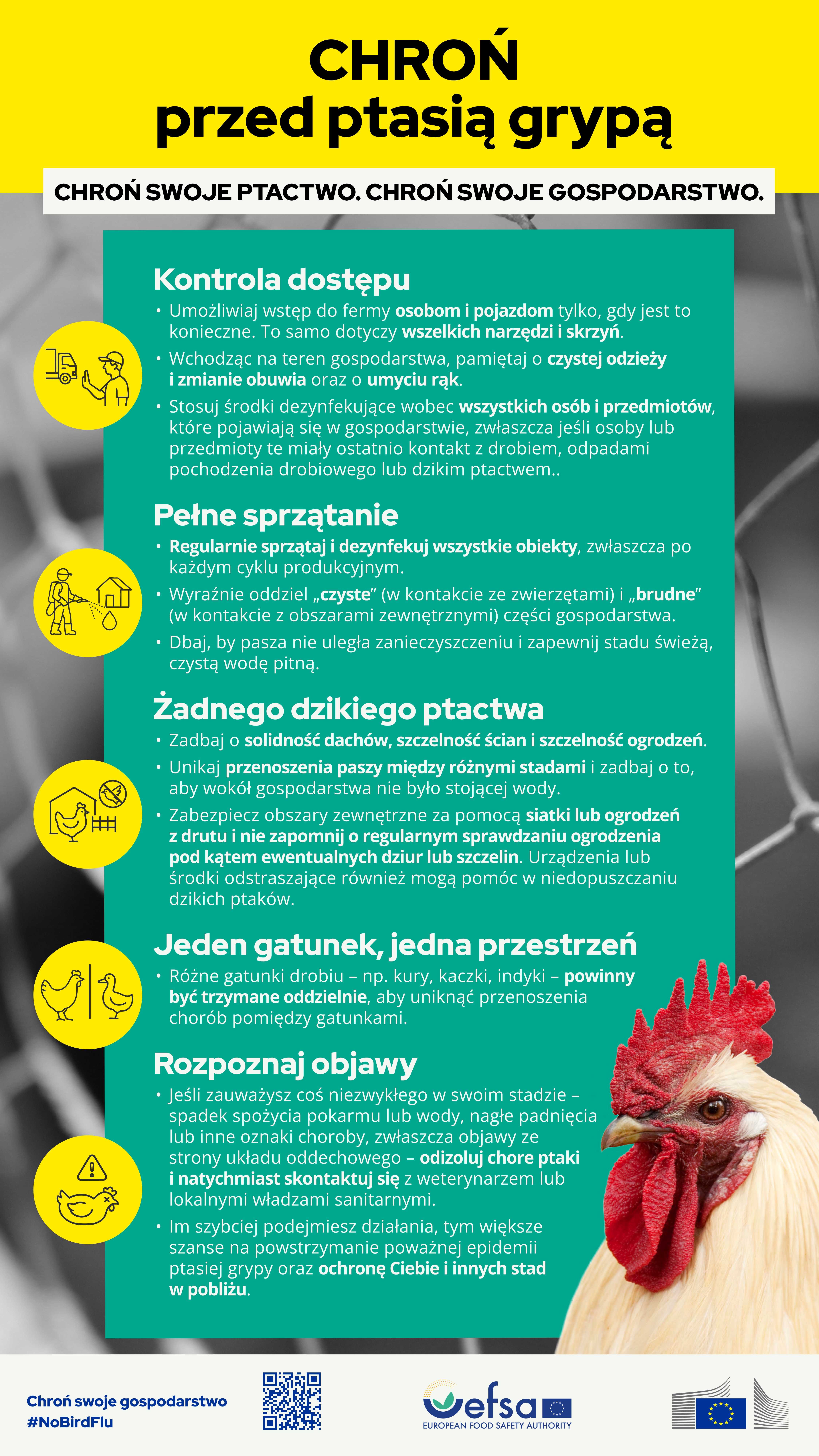 ptasia_grypa